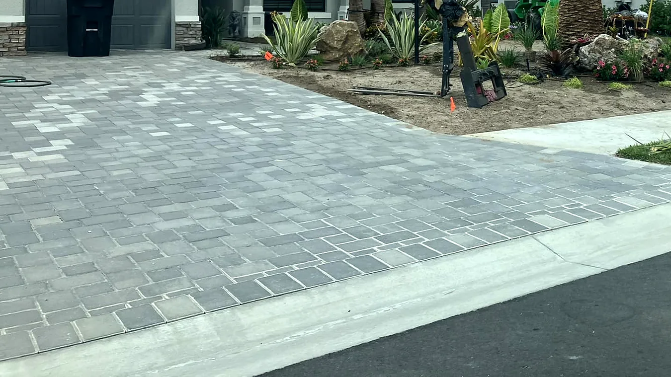 New paver driveway with a palm and planting beds at a single-story home