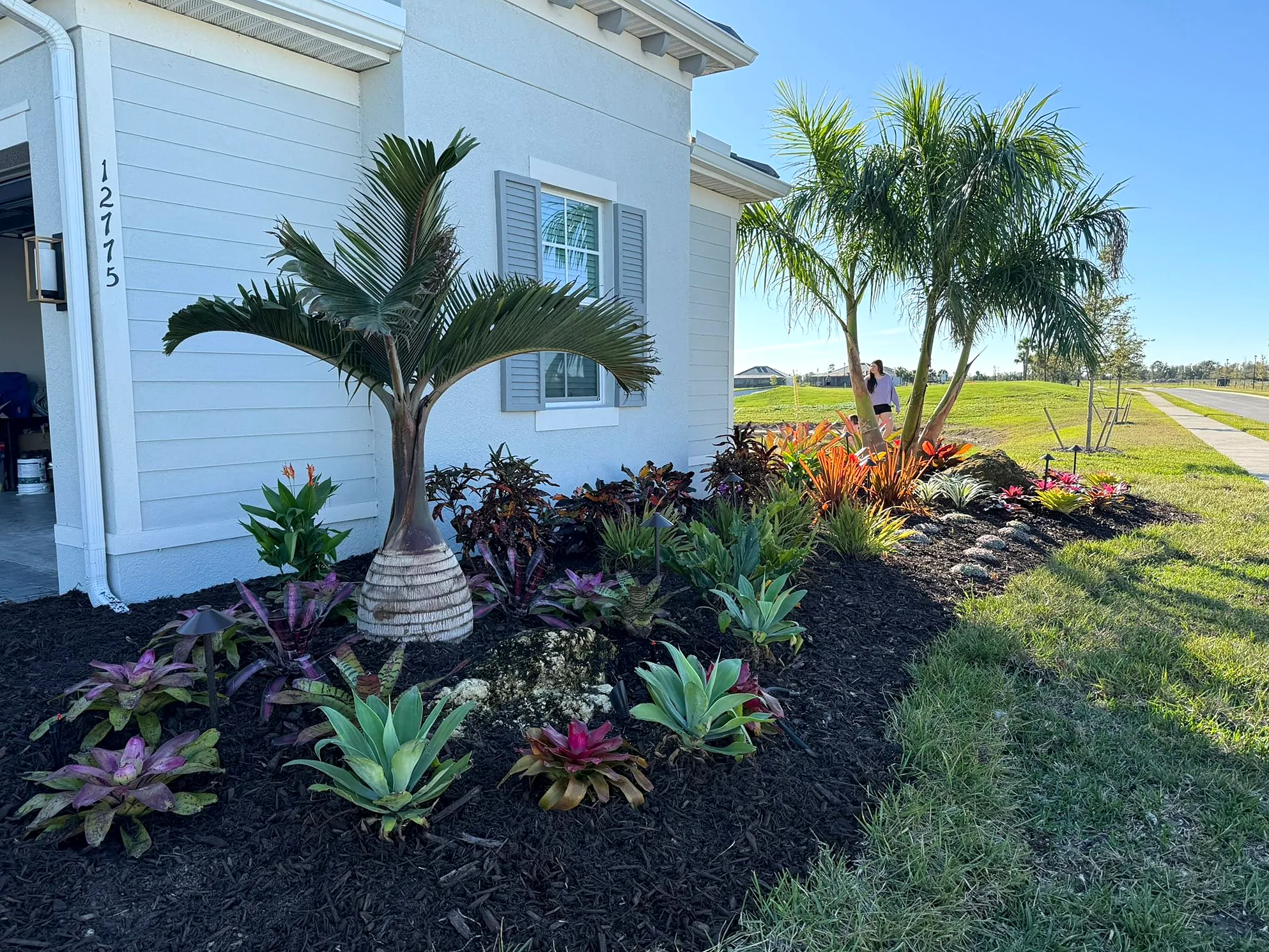 Front-yard planting bed with palms, colorful low plants, mulch and lawn beside a house