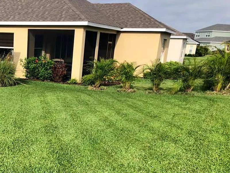 Green front lawn and planting beds outside a Florida home