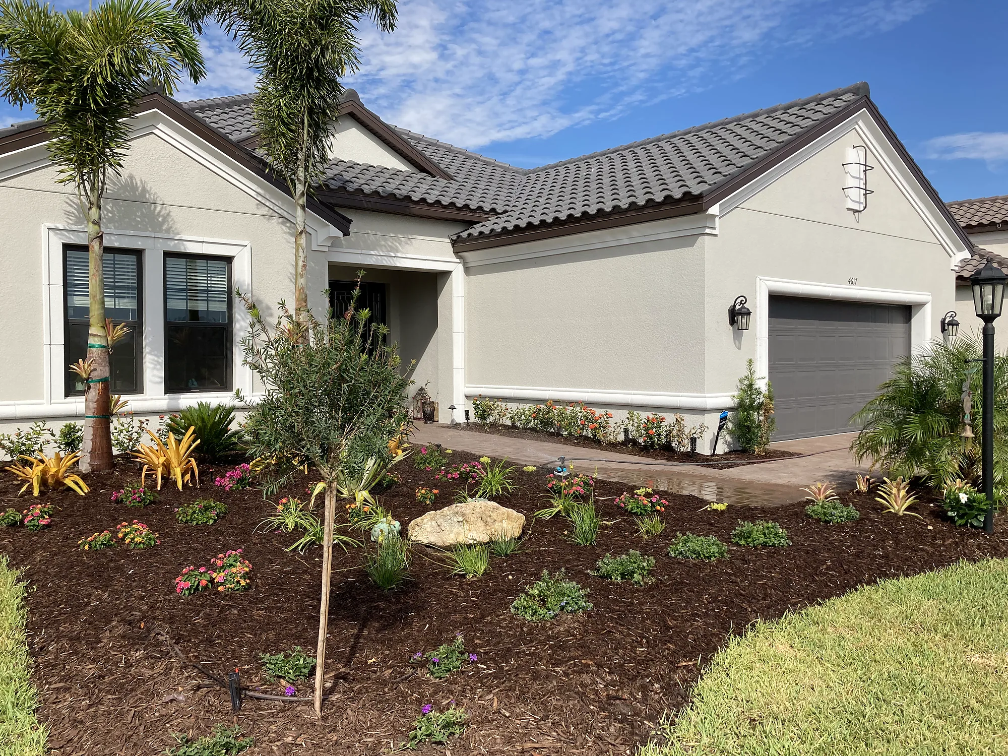 New landscape beds with palms and fresh mulch along the front of a single-story home