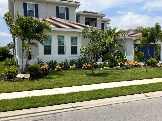 Front-yard landscape with palms and new beds at a two-story home