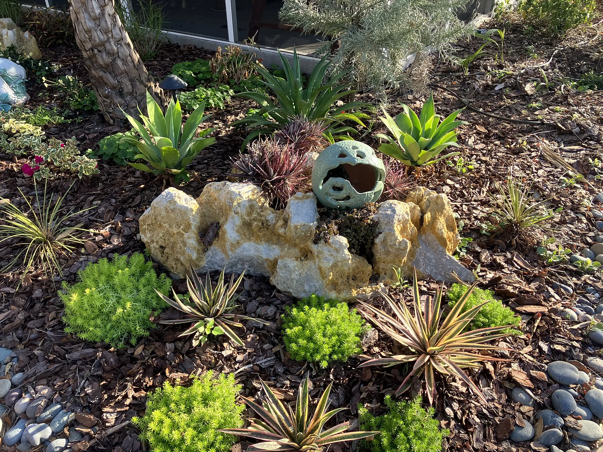 Bed finished with mulch, large boulders and river rock around agaves and bromeliads
