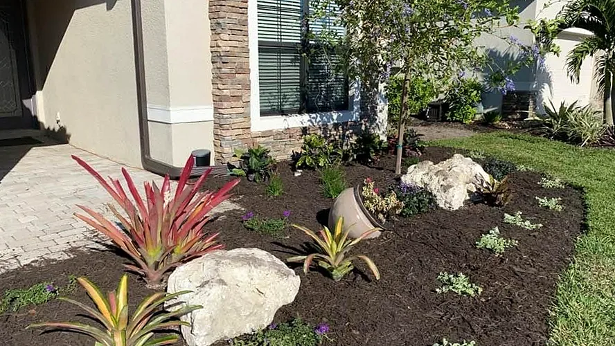 Boulders and bromeliads set in fresh mulch at the corner of a home