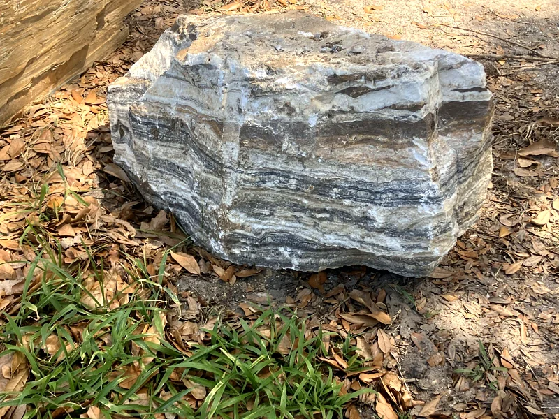 Striated boulder placed in a planting bed