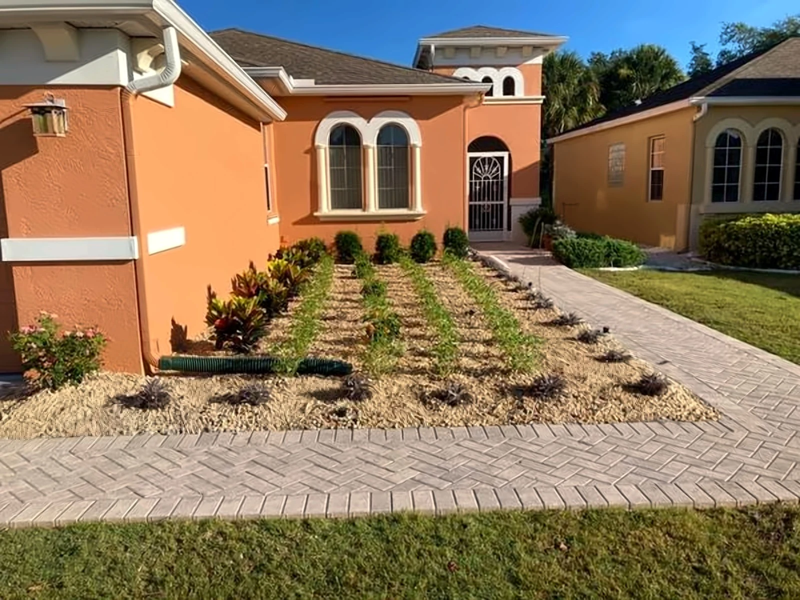 Paver walkway with new planting rows at a stucco home