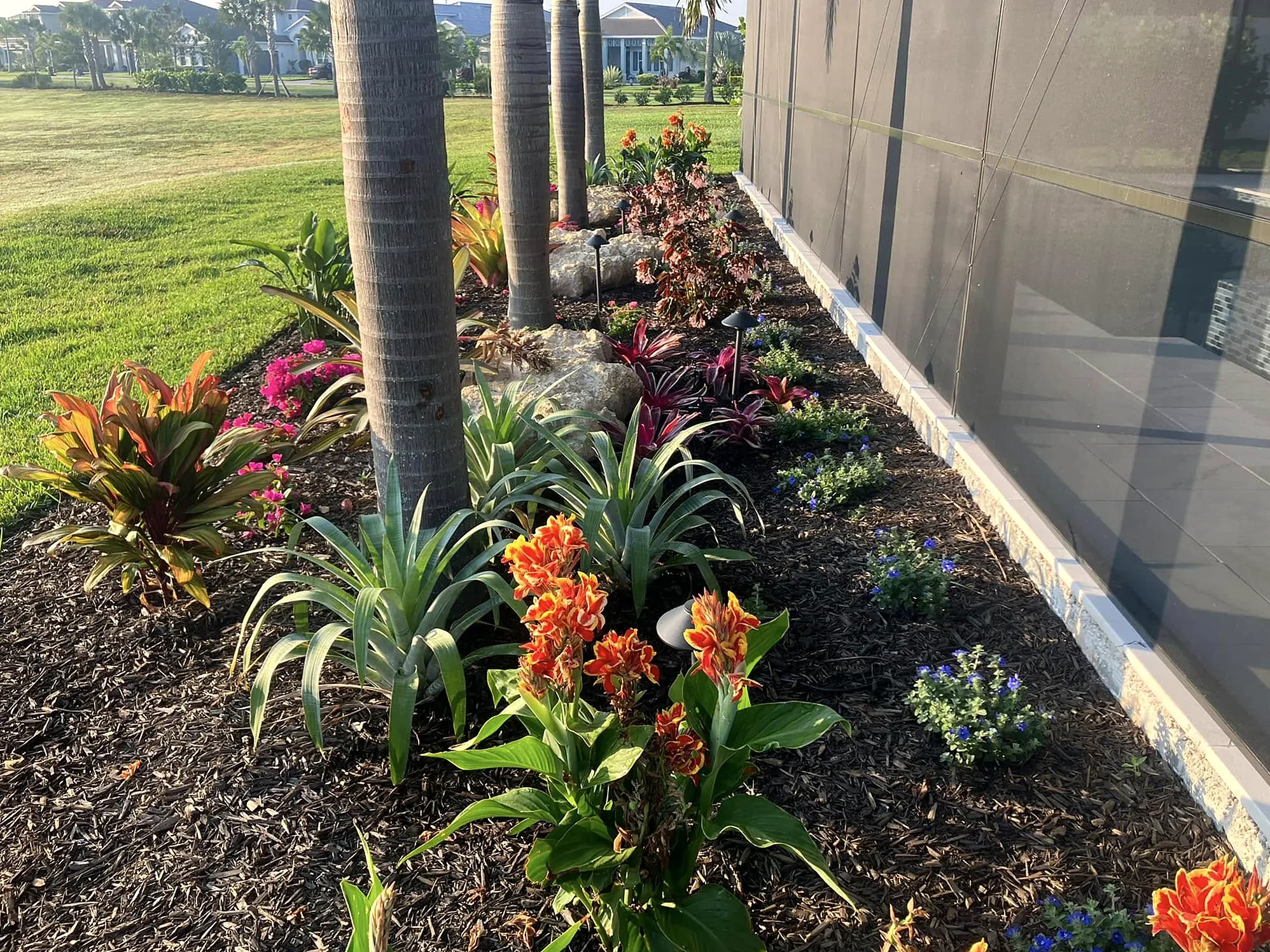 Lanai planting bed of cannas, bromeliads and palms along a pool screen enclosure