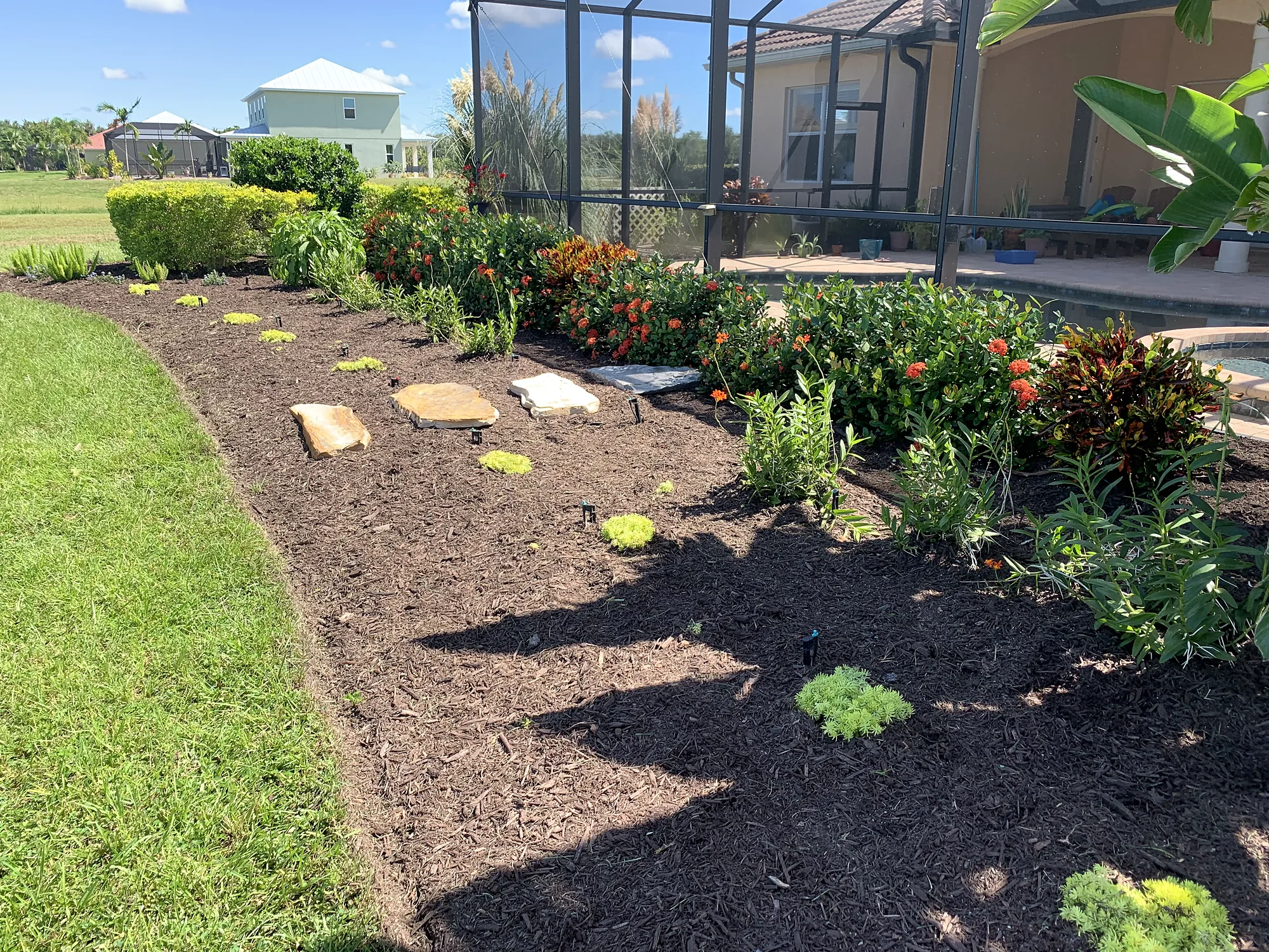 Curved backyard bed with stepping stones, ixora and crotons beside a pool cage
