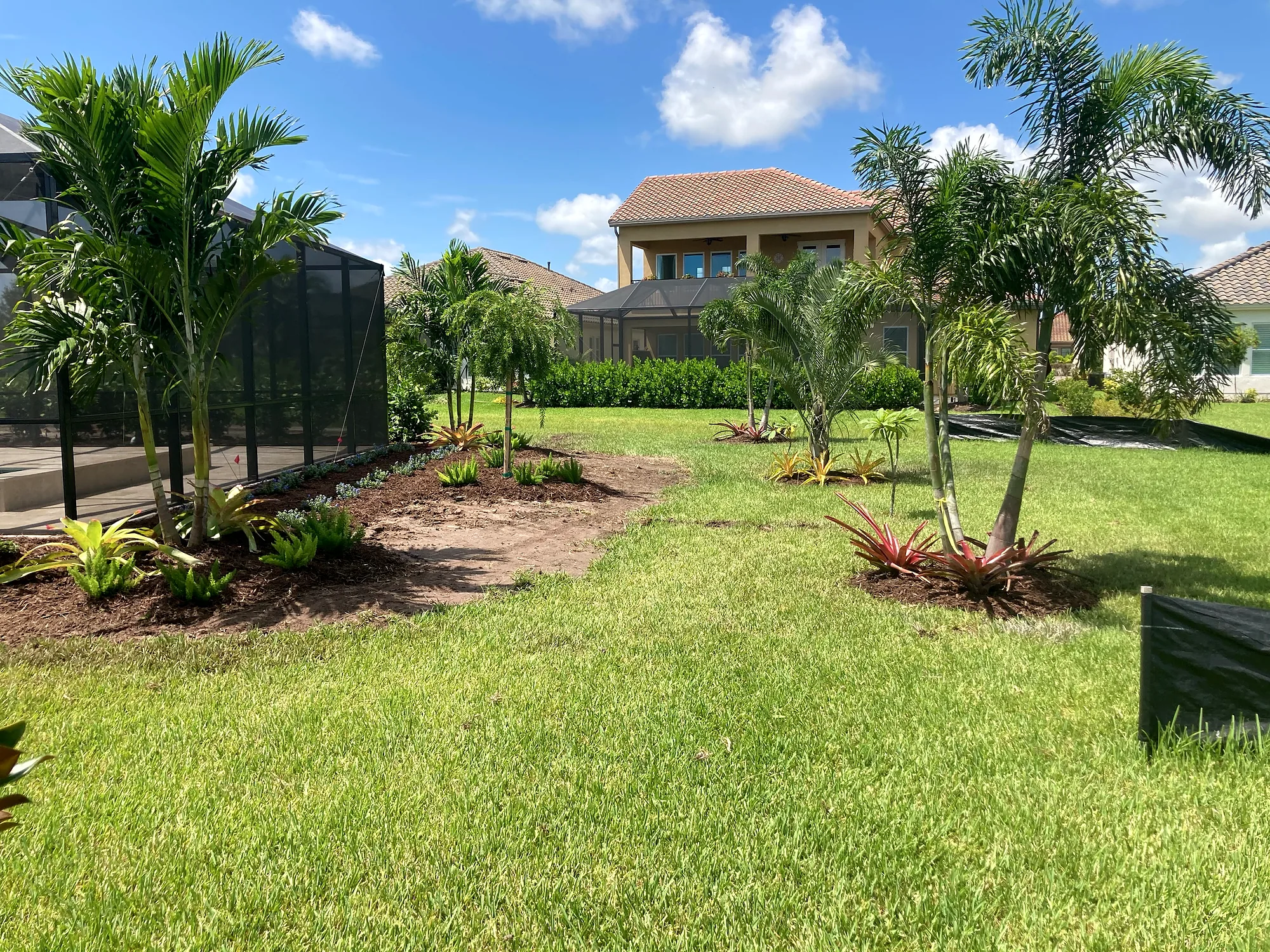 Clustered palms and bromeliad beds in a backyard lawn beside a screened pool