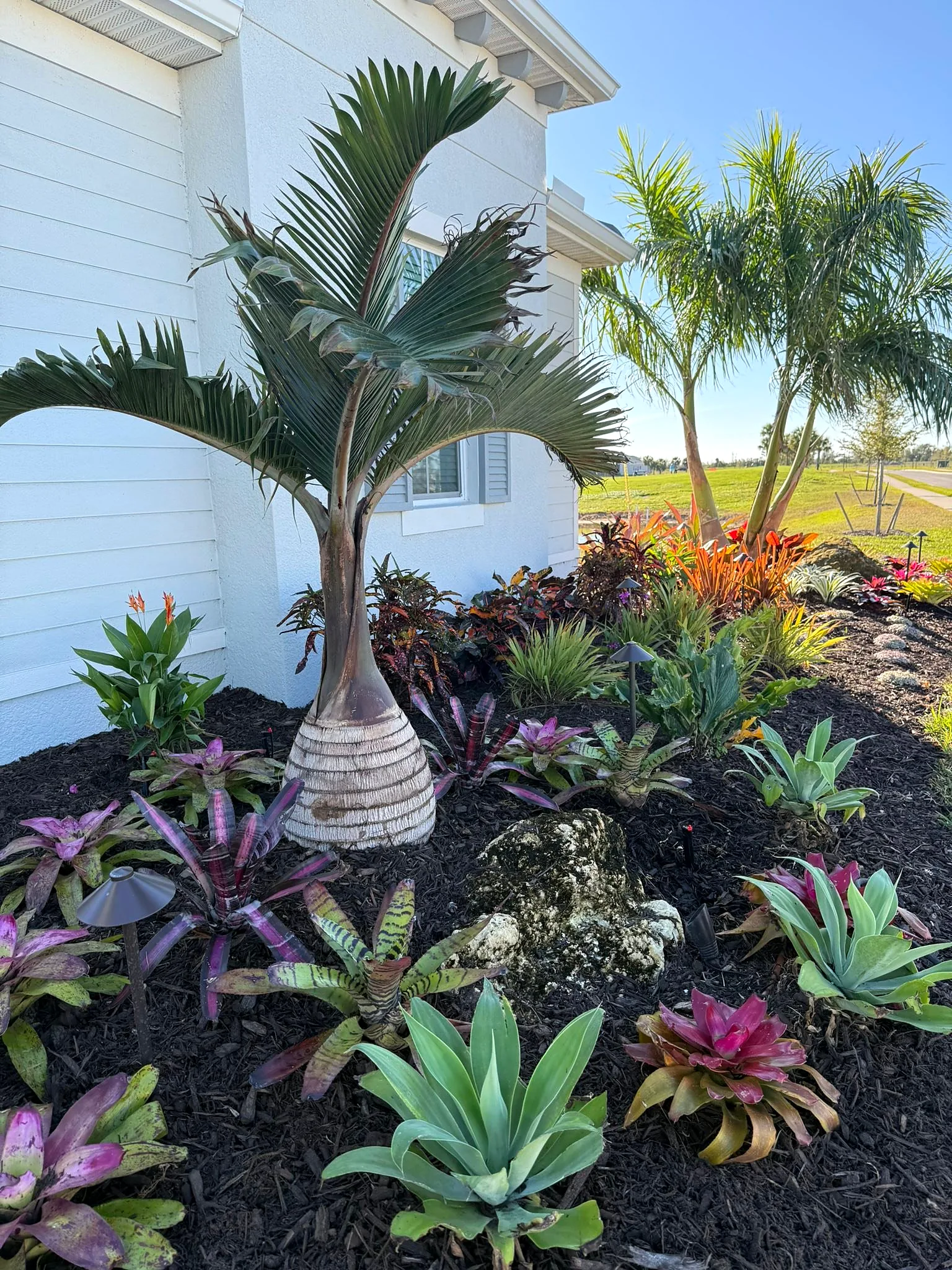 Palm and bromeliad bed finished with mulch at a home entry