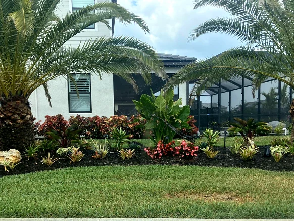 Palms and tropical beds planted along a screened pool enclosure