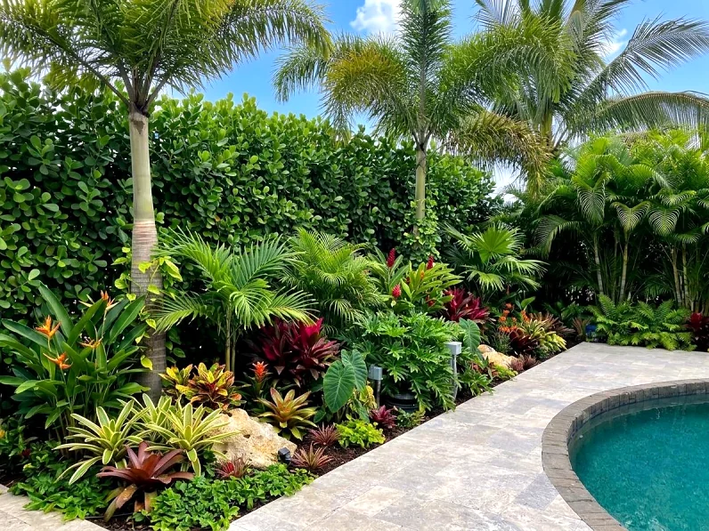 Tropical plantings around a pool with a paver deck