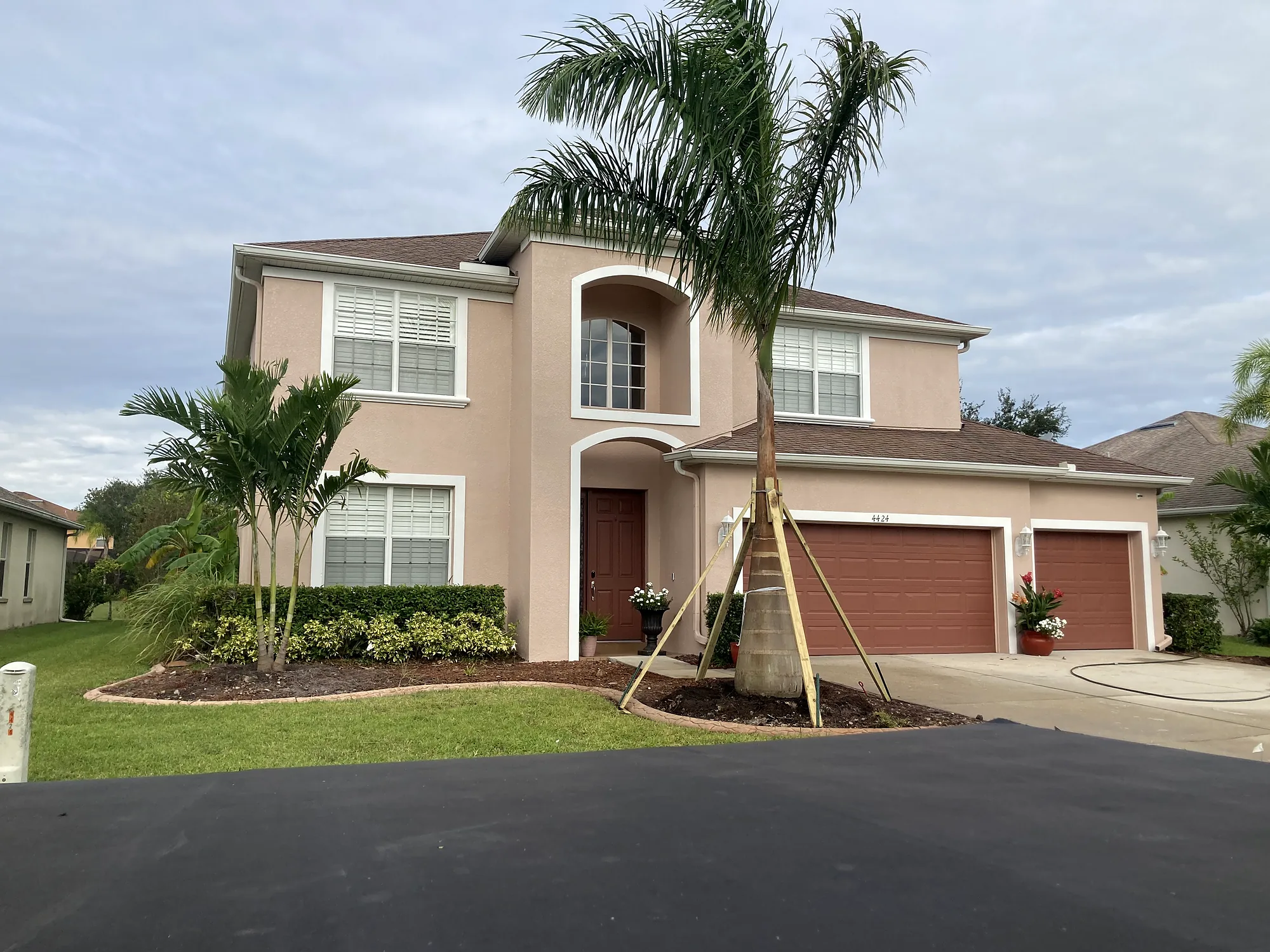 Newly planted palm held by wooden braces in front of a two-story home