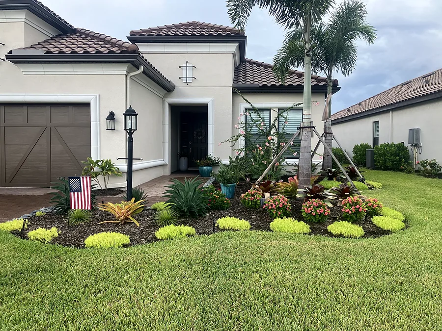 New front-yard landscape with a curved planting bed, gold groundcover mounds and braced palms at a tile-roof Florida home
