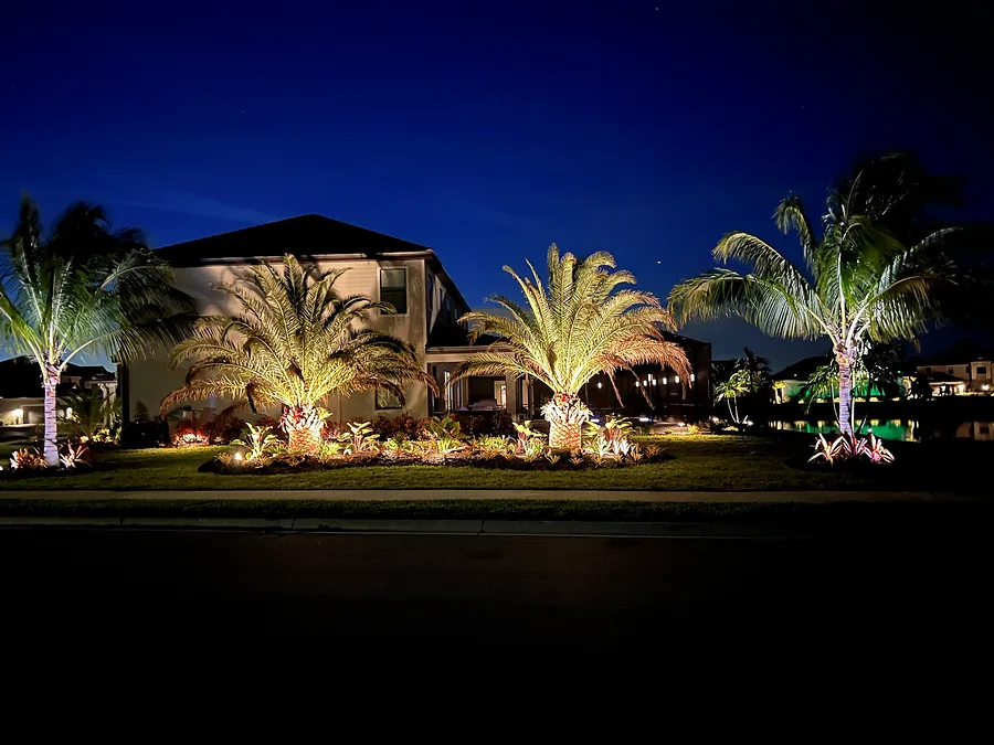 Uplit palms and planting beds at dusk in front of a two-story home