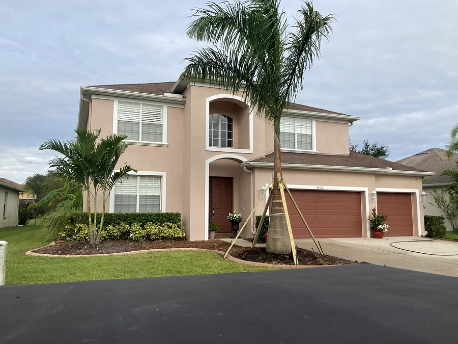 Newly planted palm held by wooden braces in front of a two-story home